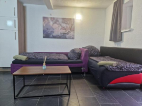 Appartement Somptueux a Unterheinriet